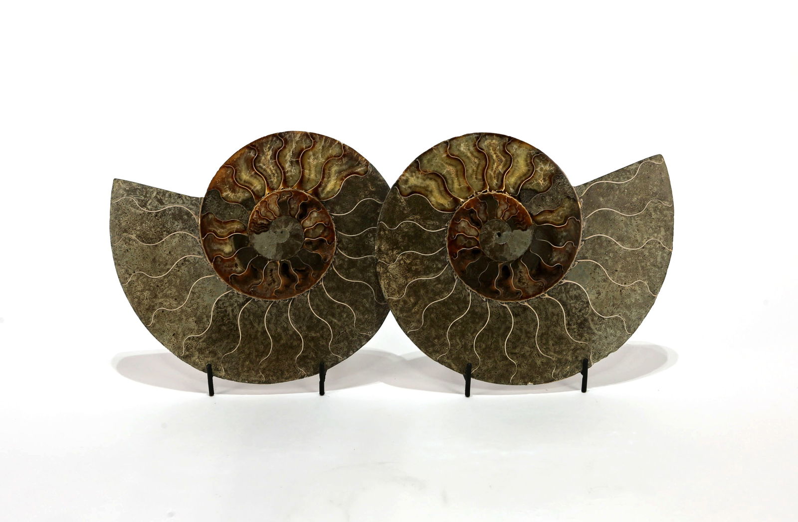Large Split Ammonite Fossil Pair: Large split ammonite fossil pair from Madagascar. Each side is 7.25" x 8.75" x .75". 2,058 grams total.