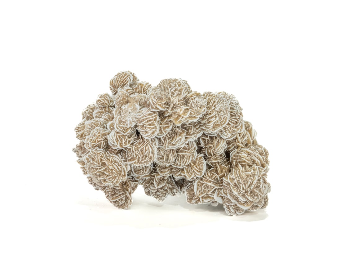 Desert Rose Selenite Formation: Beautiful desert rose selenite formation with large flowers. 6.5" 8" x 6". 5 pounds, 9 ounces.