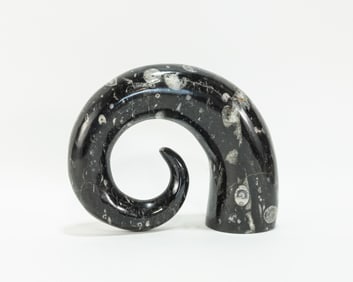 Carved Moroccan Orthoceras Fossil Horn