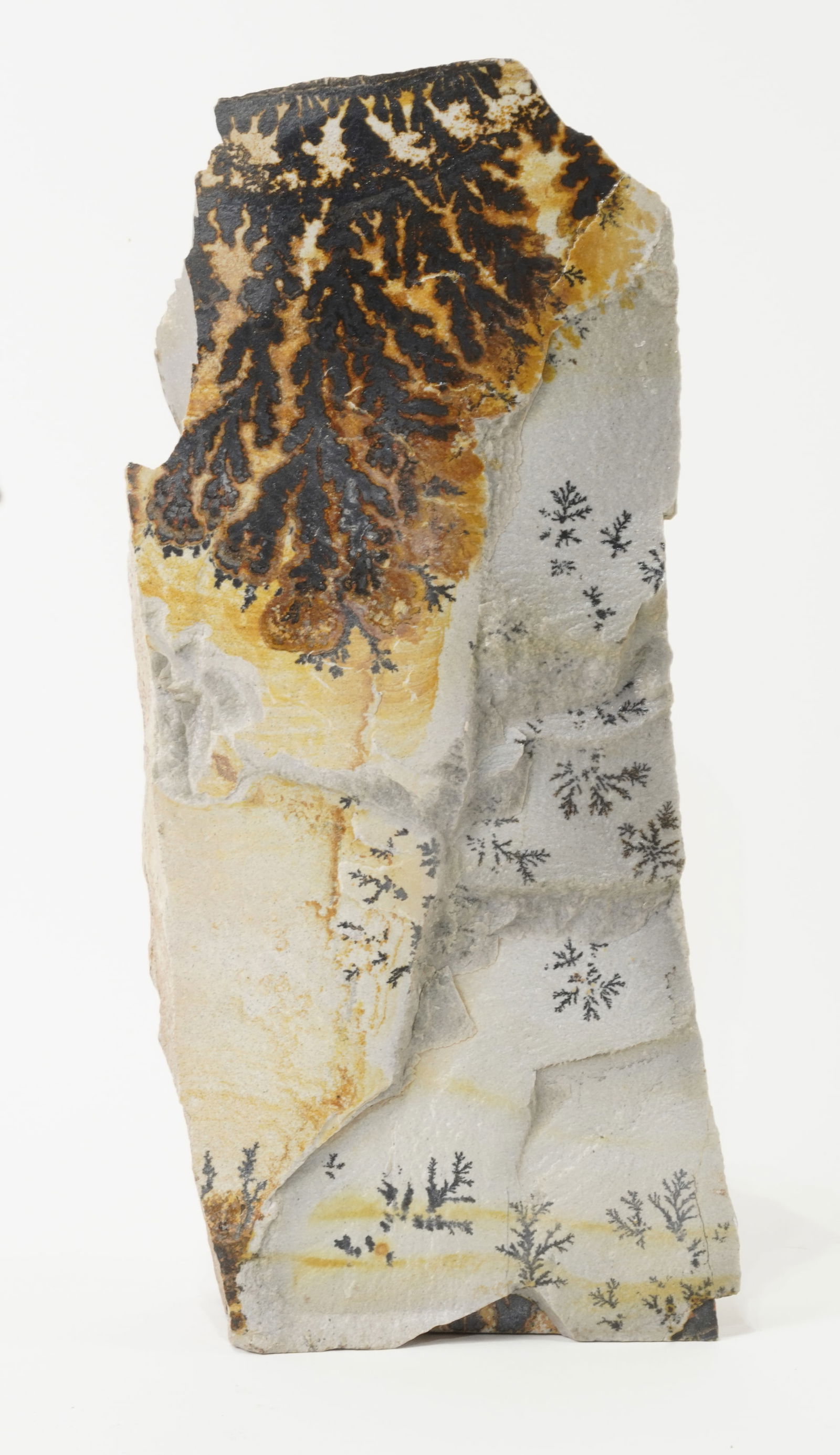 Huge Double-Sided Utah Dendrite - 2