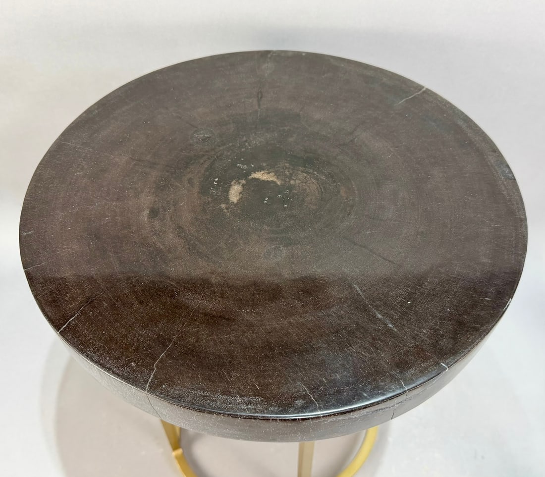 Petrified Wood Drink Table - 2