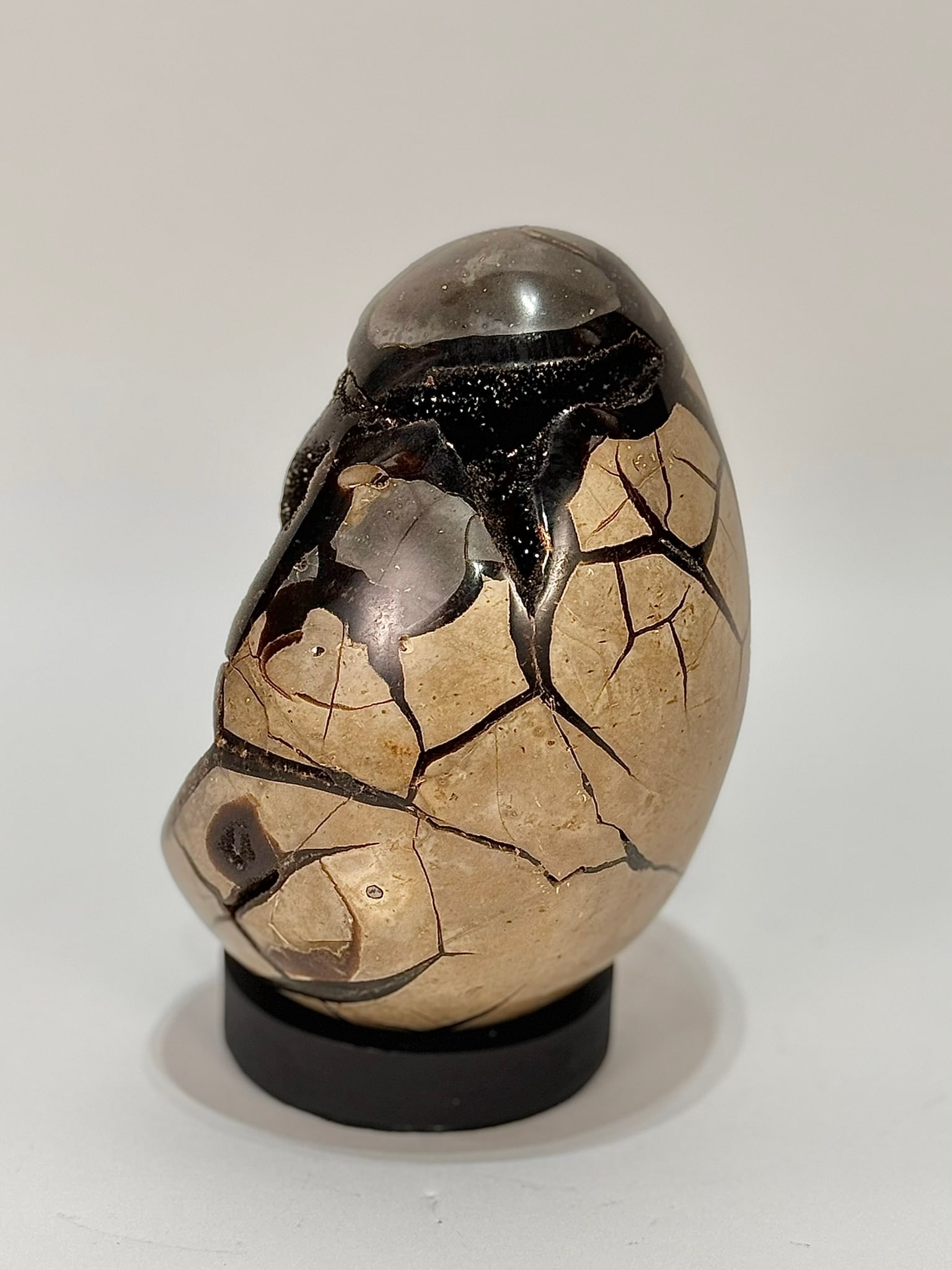 Septarian Dragon Egg Geode - 4