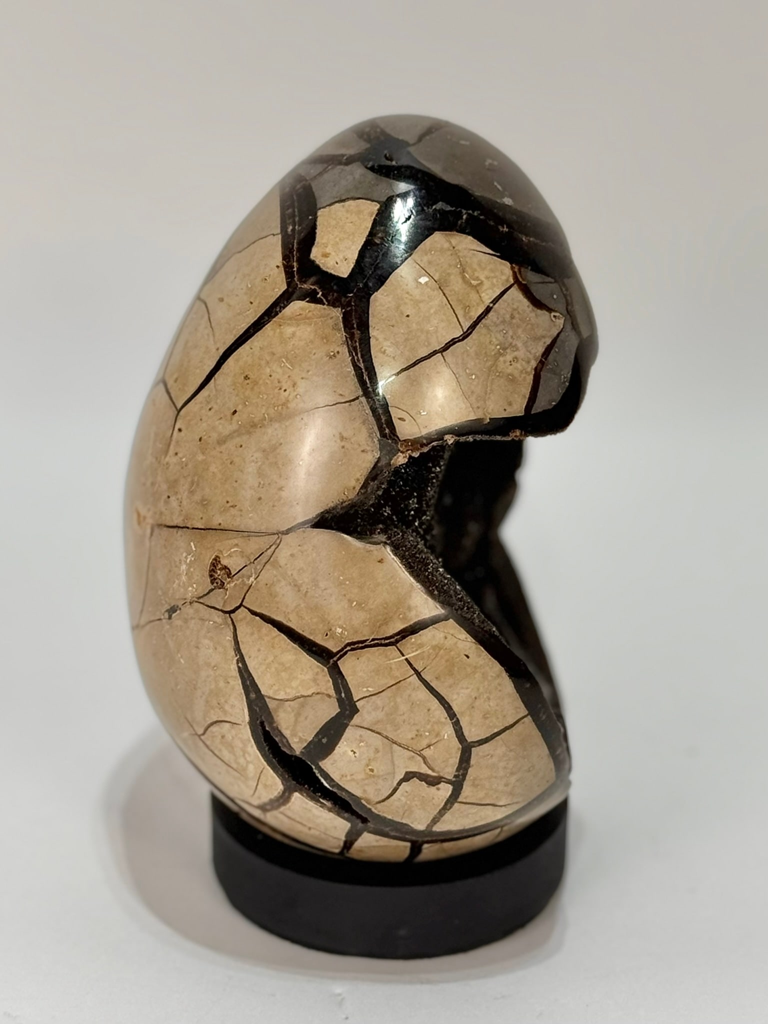 Septarian Dragon Egg Geode - 6