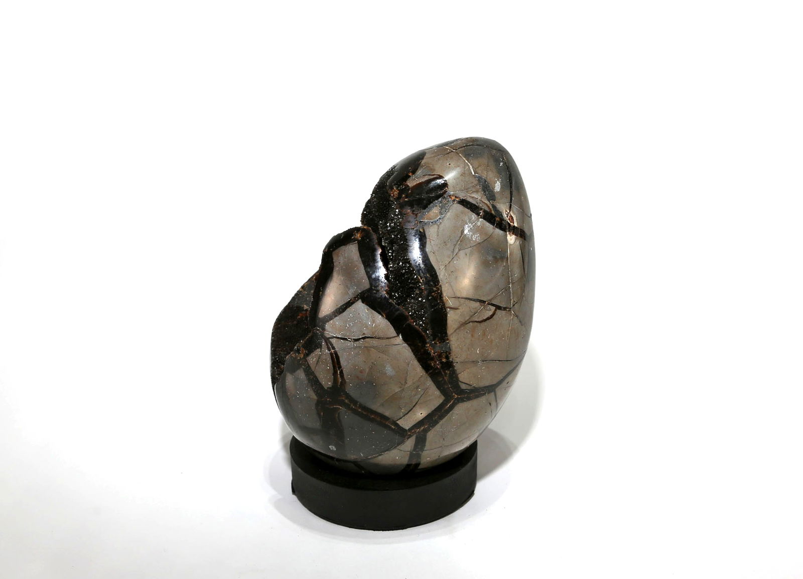 Septarian Dragon Egg Geode - 2