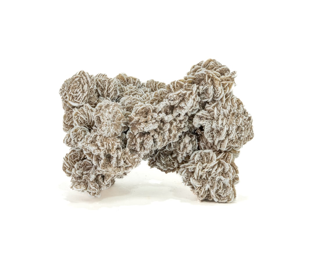 Desert Rose Selenite Formation - 2