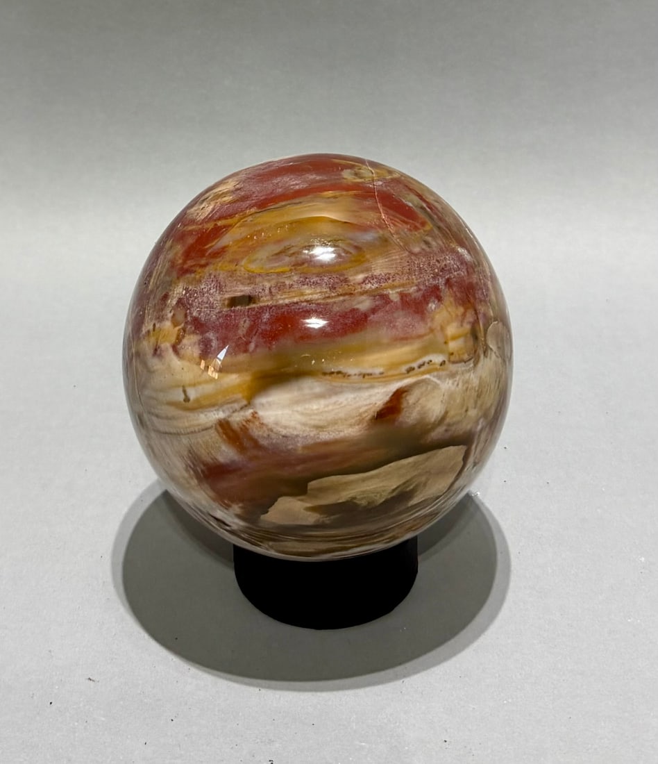 Petrified Wood Sphere (1 of 4)