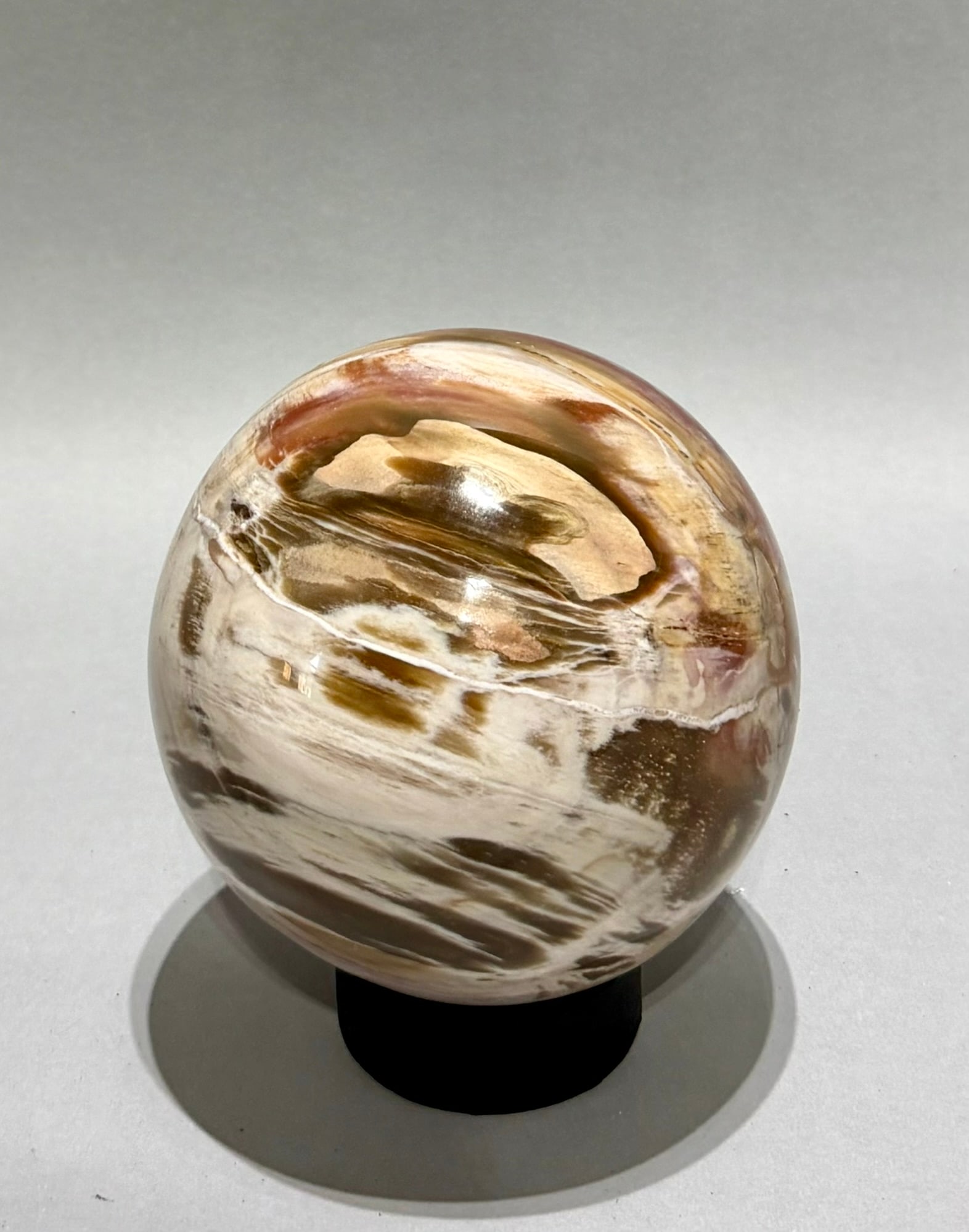 Petrified Wood Sphere - 2