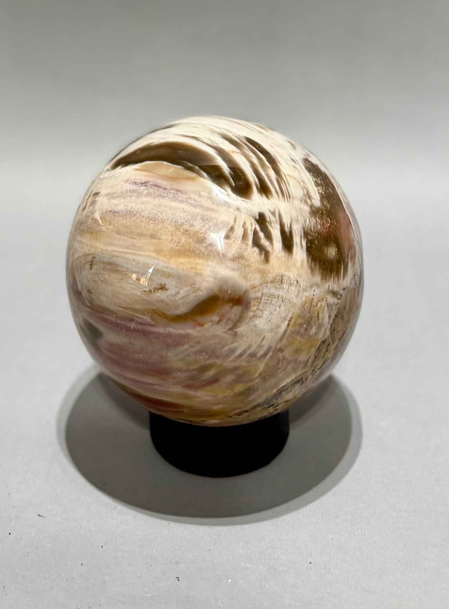 Petrified Wood Sphere - 3