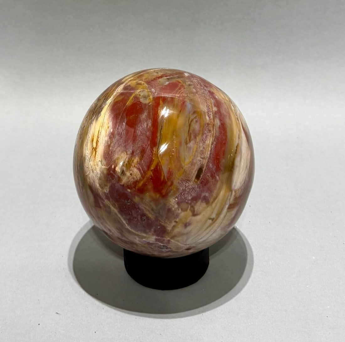 Petrified Wood Sphere - 4