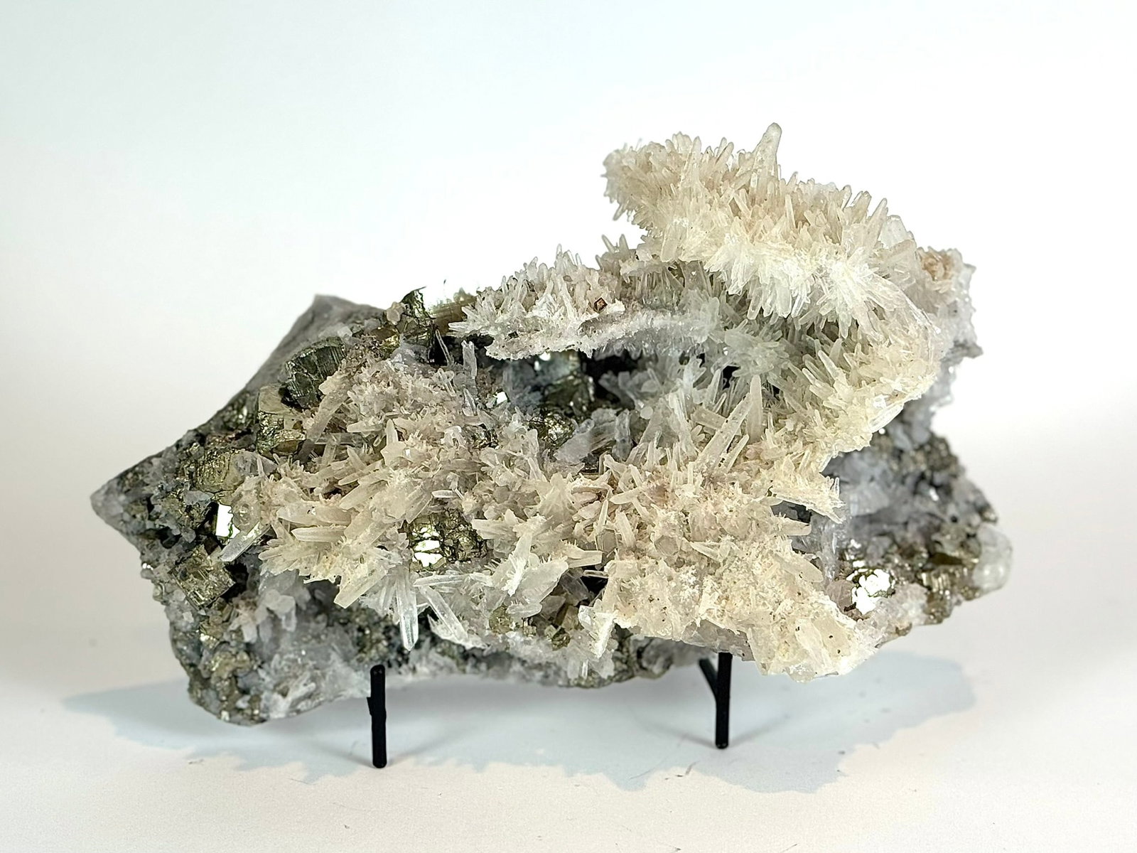 Cubic Pyrite and Quartz Plate (1 of 5)