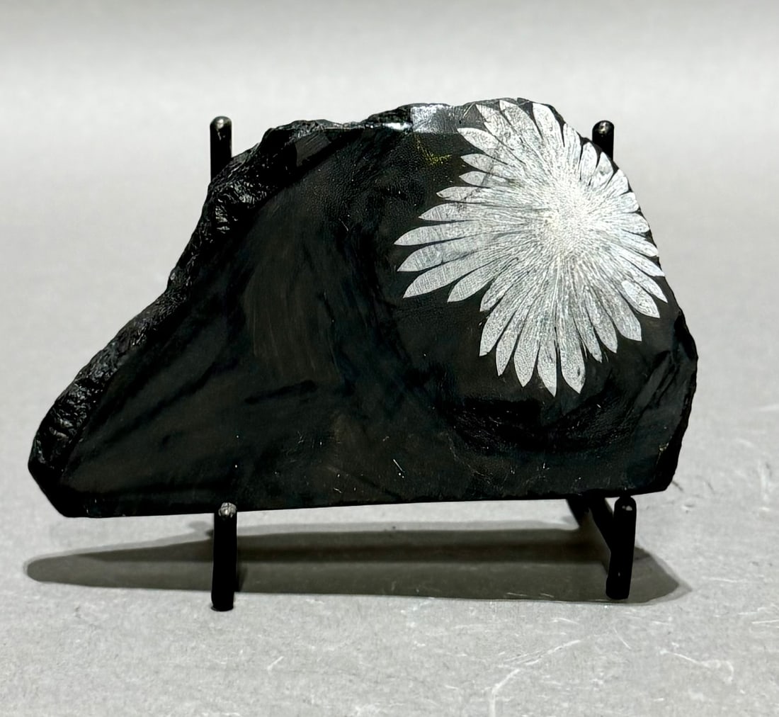 Chrysanthemum Stone: A lovely chrysanthemum stone from China. 2.25" x 4" x 1". 7 ounces.