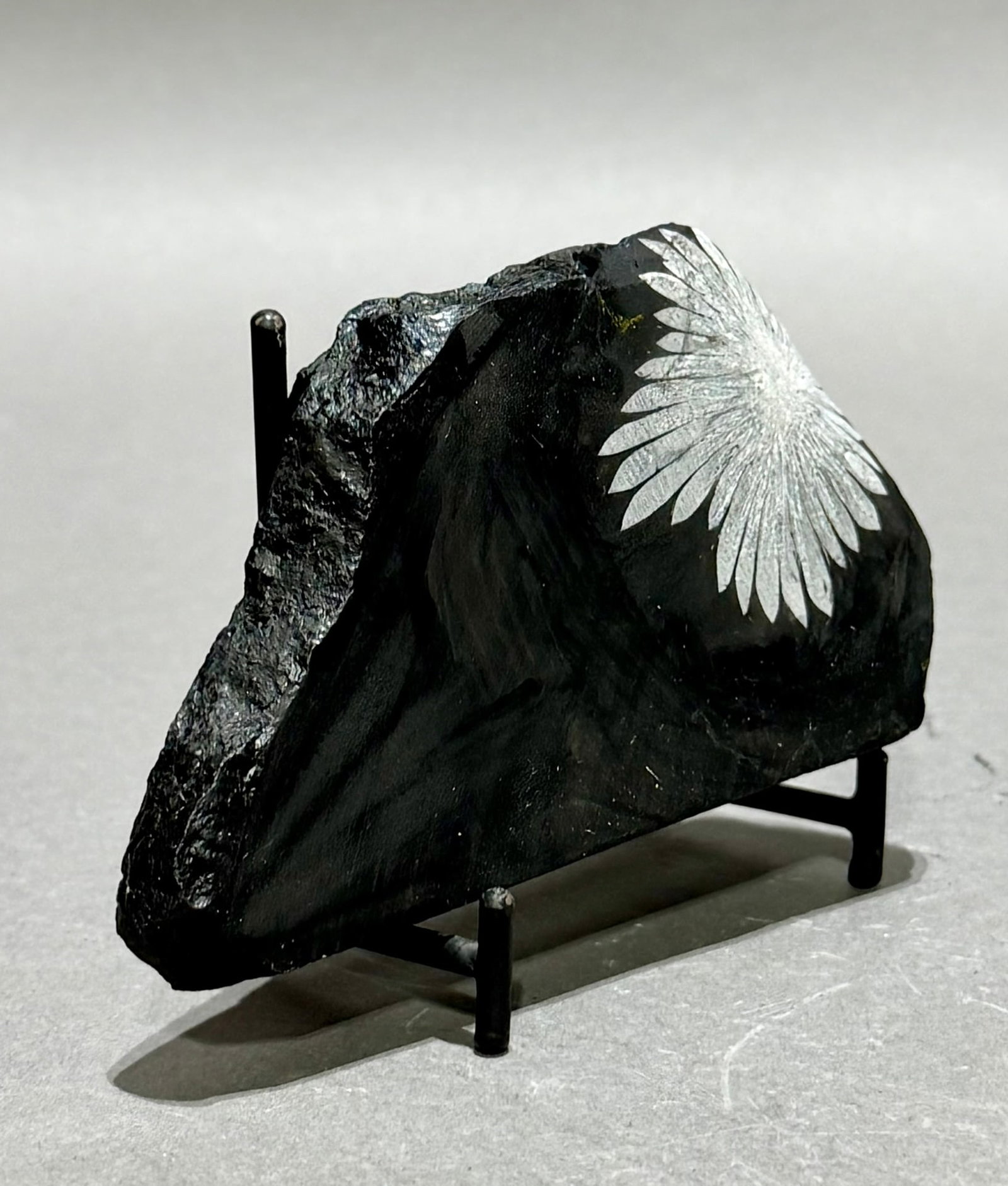 Chrysanthemum Stone - 2
