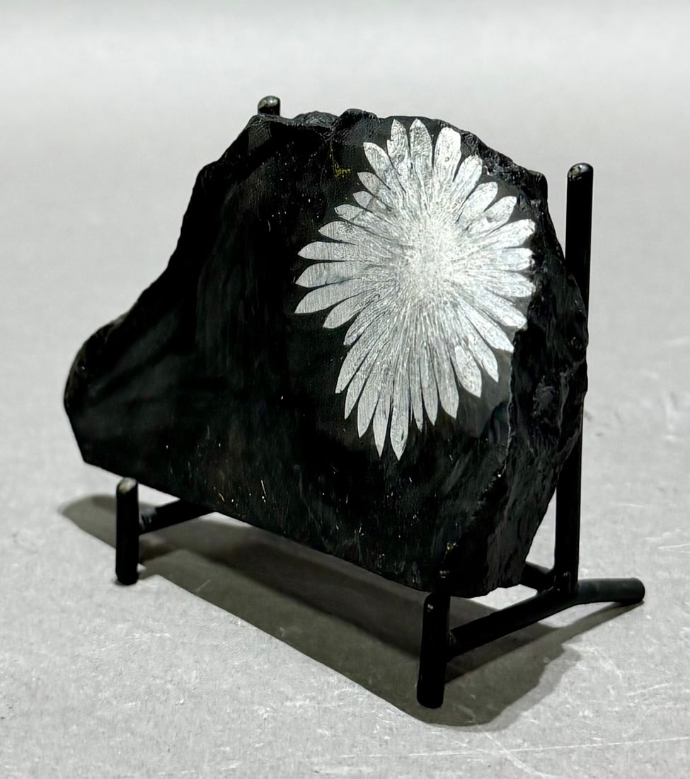 Chrysanthemum Stone - 3