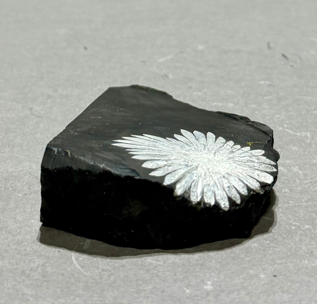 Chrysanthemum Stone - 4