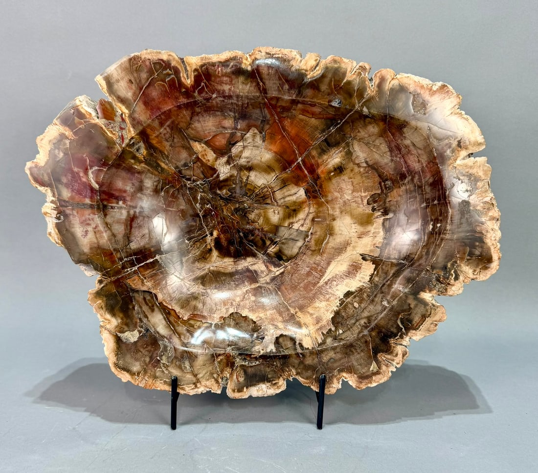 Large Petrified Wood Bowl: Large, polished petrified wood bowl from Madagascar. 10.75" x 14" x 3". 19 lb, 15 ounces.