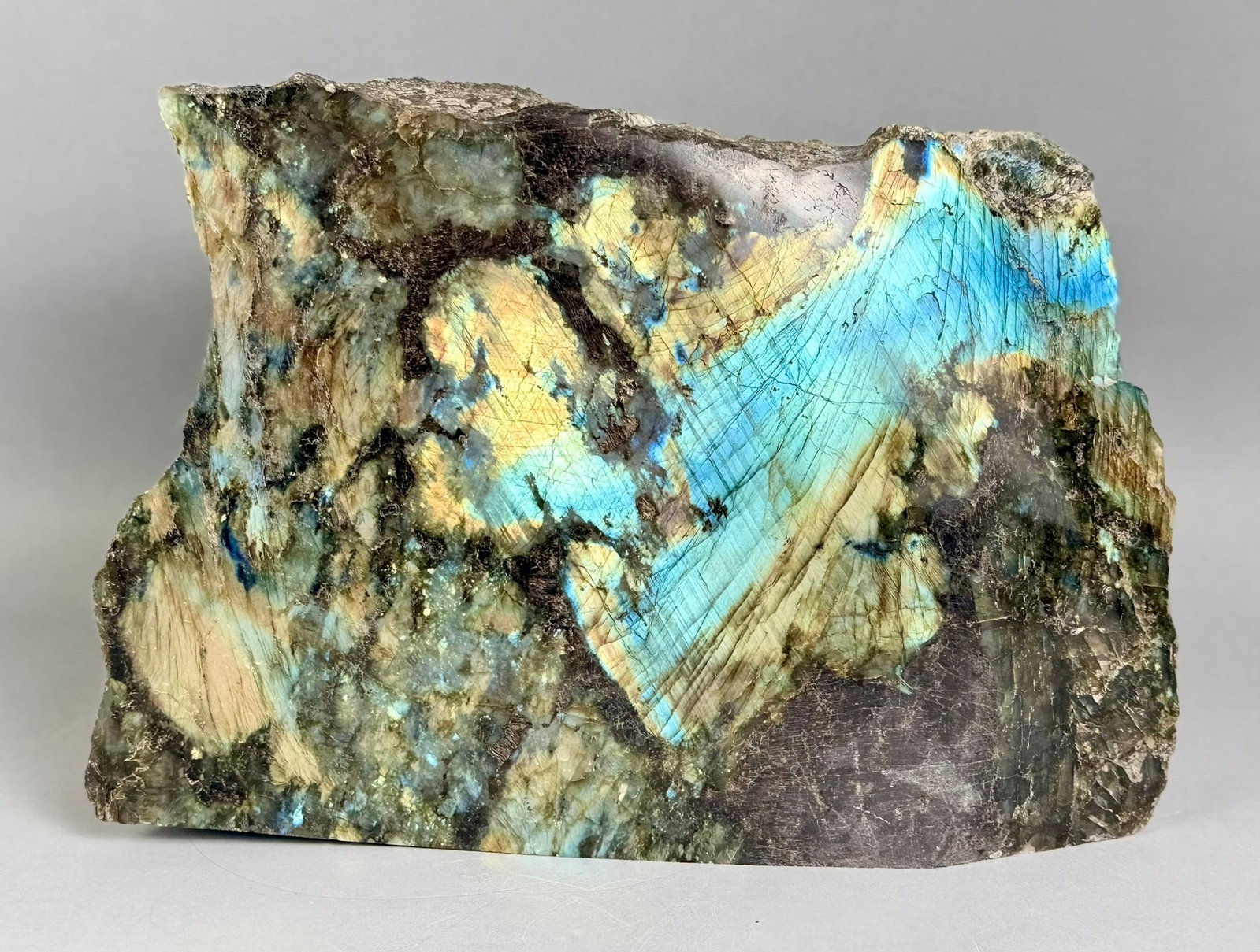 Huge Front Polished Labradorite Freeform: Huge front polished labradorite freeform from Madagascar. 9” x 13" x 3.5”. 29 lbs, 4 oz.