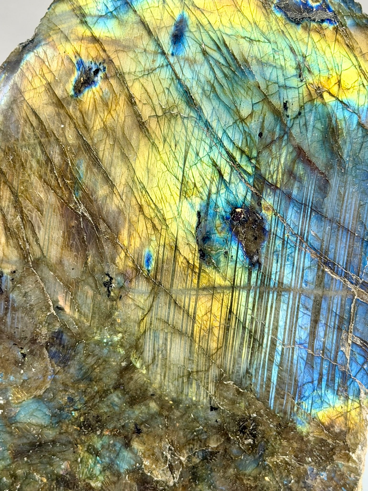 Live Edge Labradorite Freeform - 5