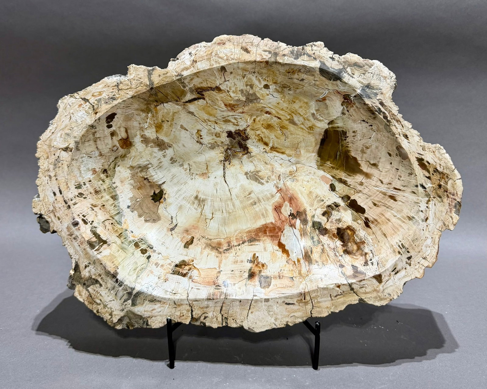 Large Petrified Wood Bowl: Large, polished petrified wood bowl from Madagascar. 15.25" x 10.75" x 2.25". 16 lbs, 2 oz.
