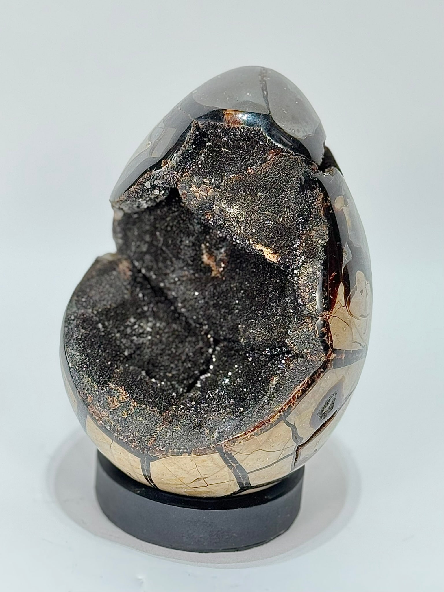 Septarian Dragon Egg Geode - 2