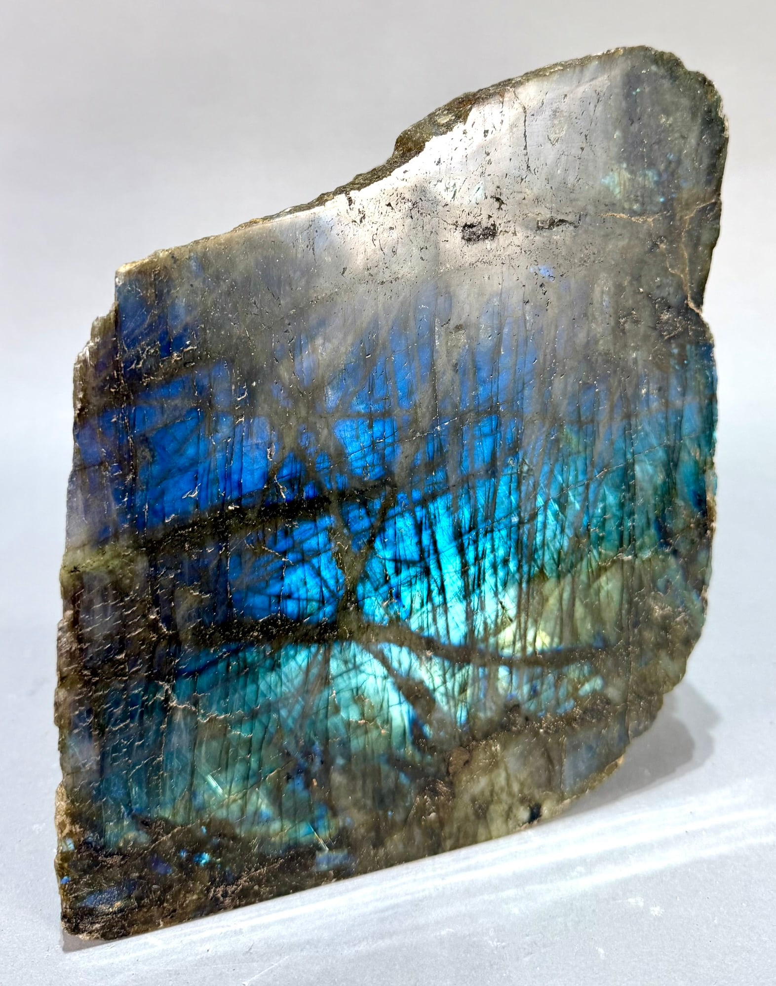 Live Edge Labradorite Freeform - 3