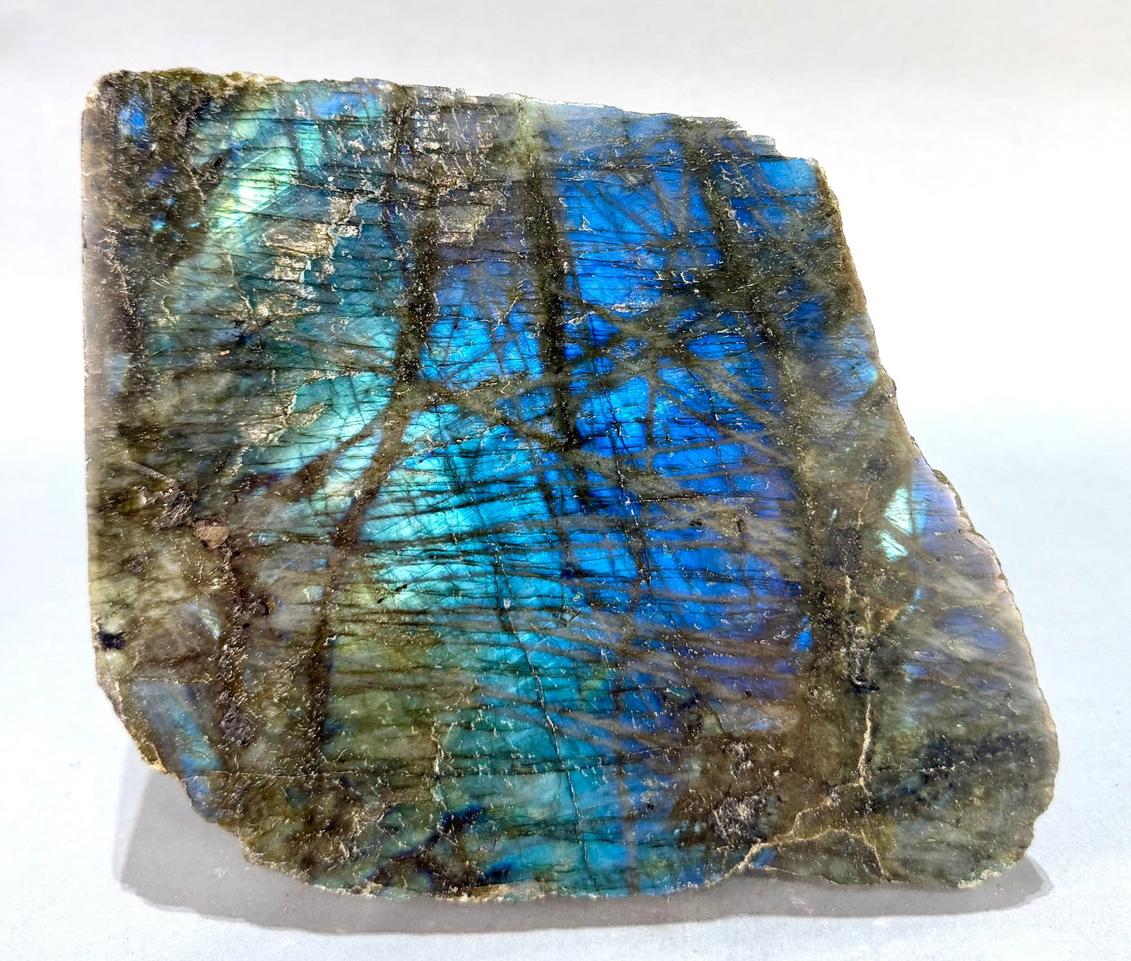 Live Edge Labradorite Freeform - 5