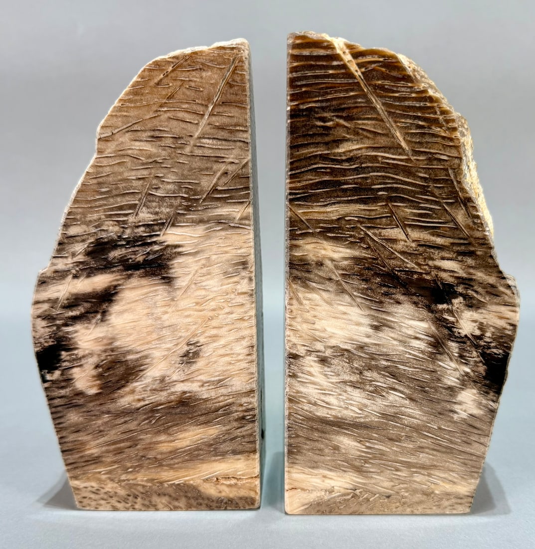 Petrified Wood Bookends: Petrified wood bookends. Each side is roughly 7" x 3.5" x 2.25". Total weight is 5 lb, 11 ounces.
