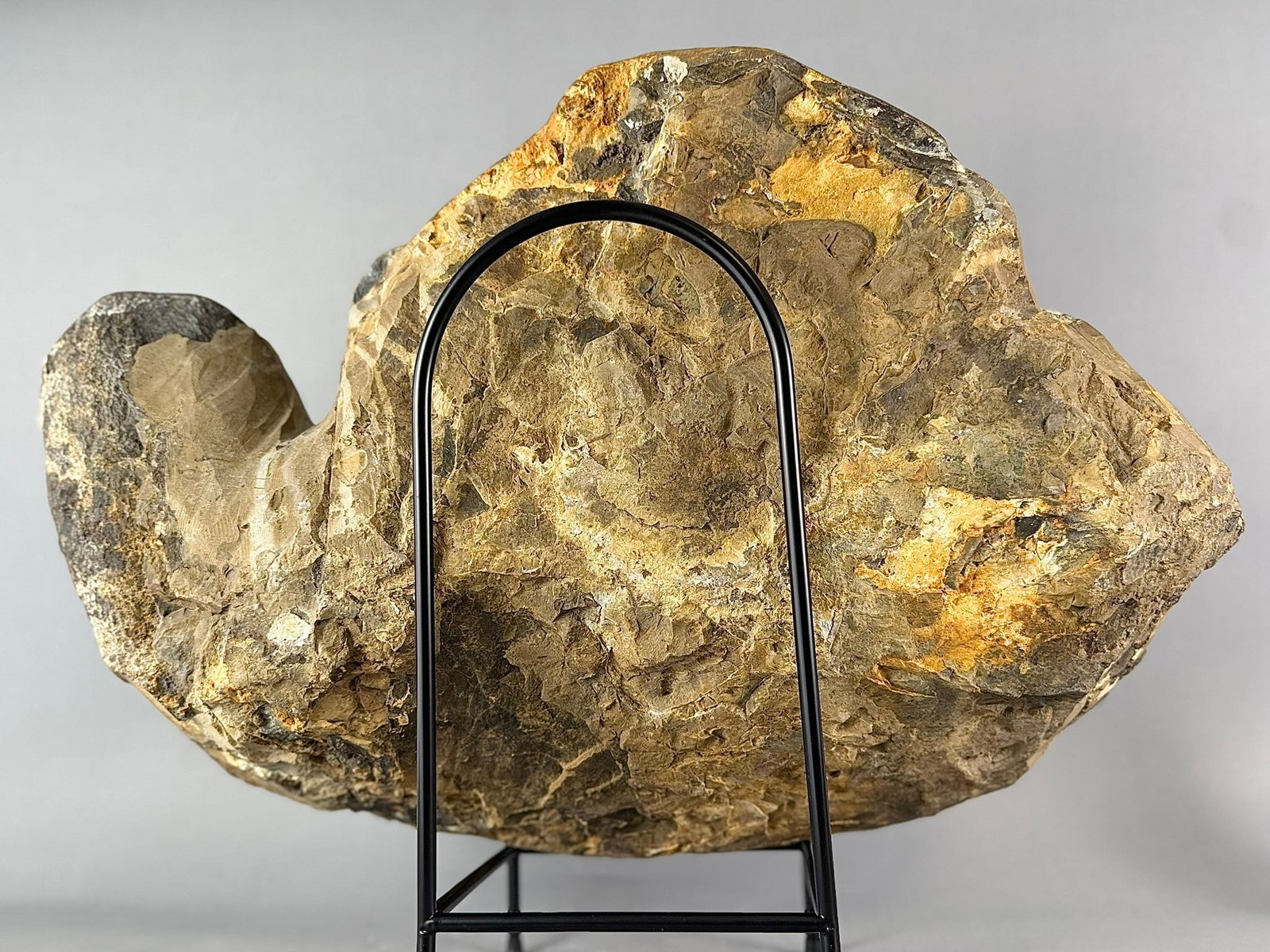 83 Pound Amethyst Geode - MONUMENT - 5