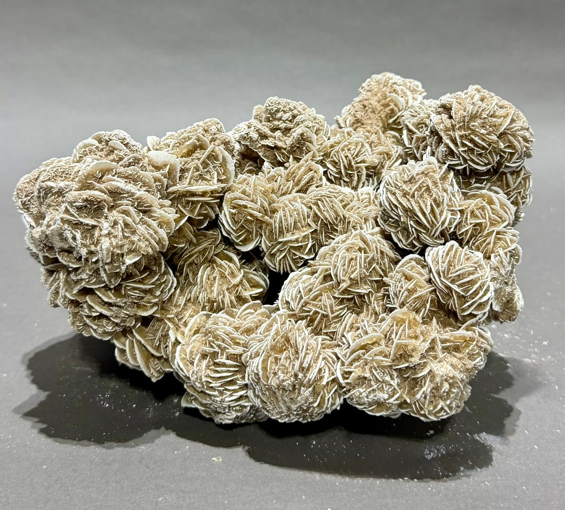 Desert Rose Selenite Formation: Beautiful desert rose selenite formation with large flowers. 6.5" x 8" x 6". 5 lbs, 9 oz.