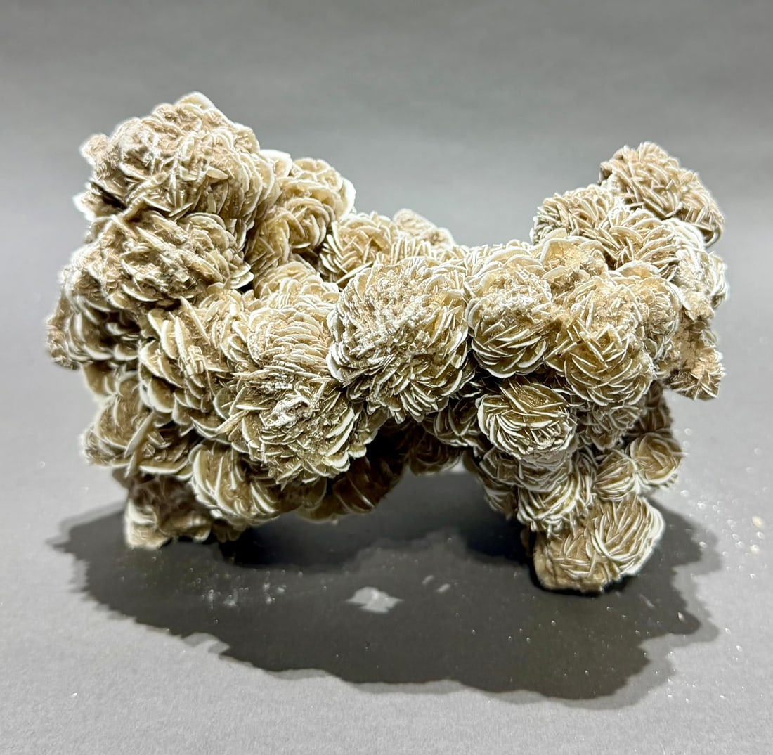 Desert Rose Selenite Formation - 2