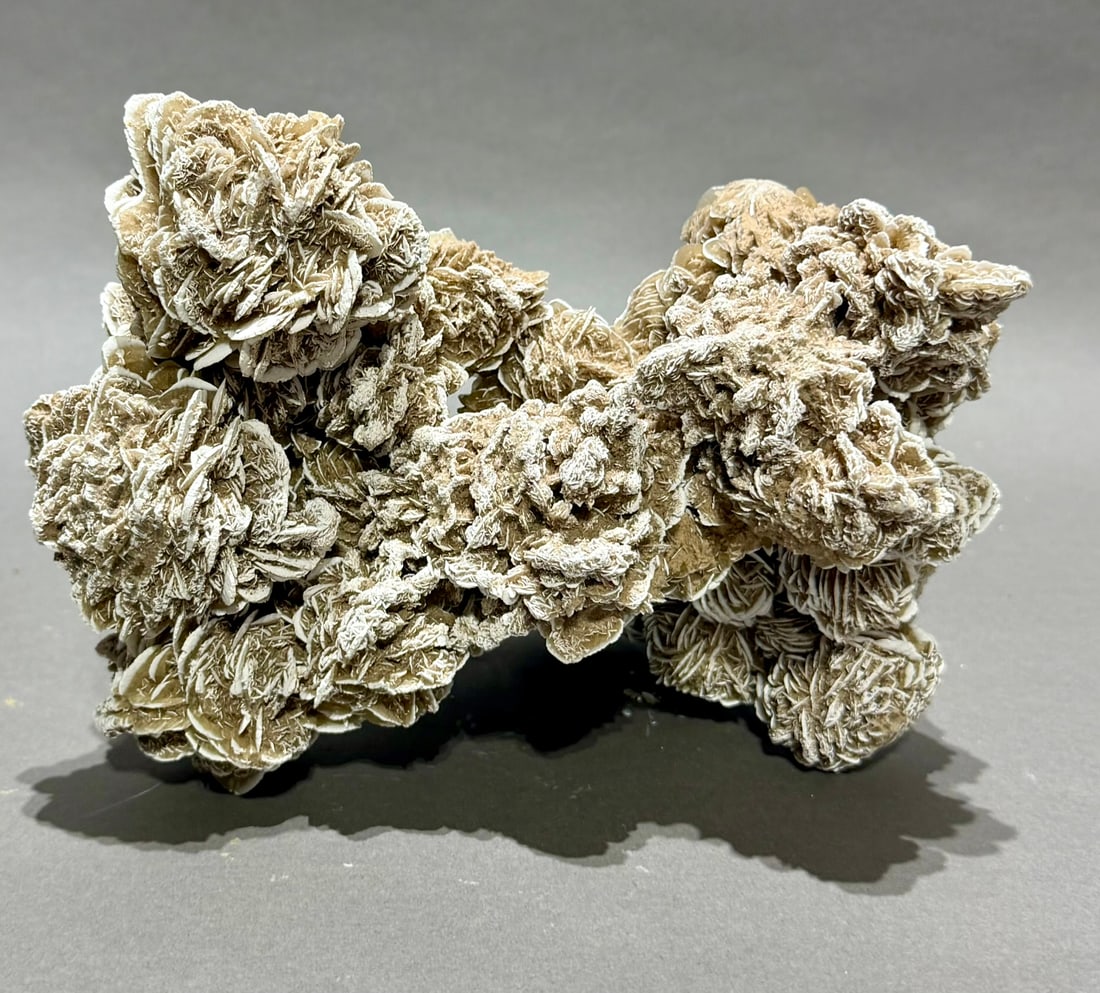 Desert Rose Selenite Formation - 3