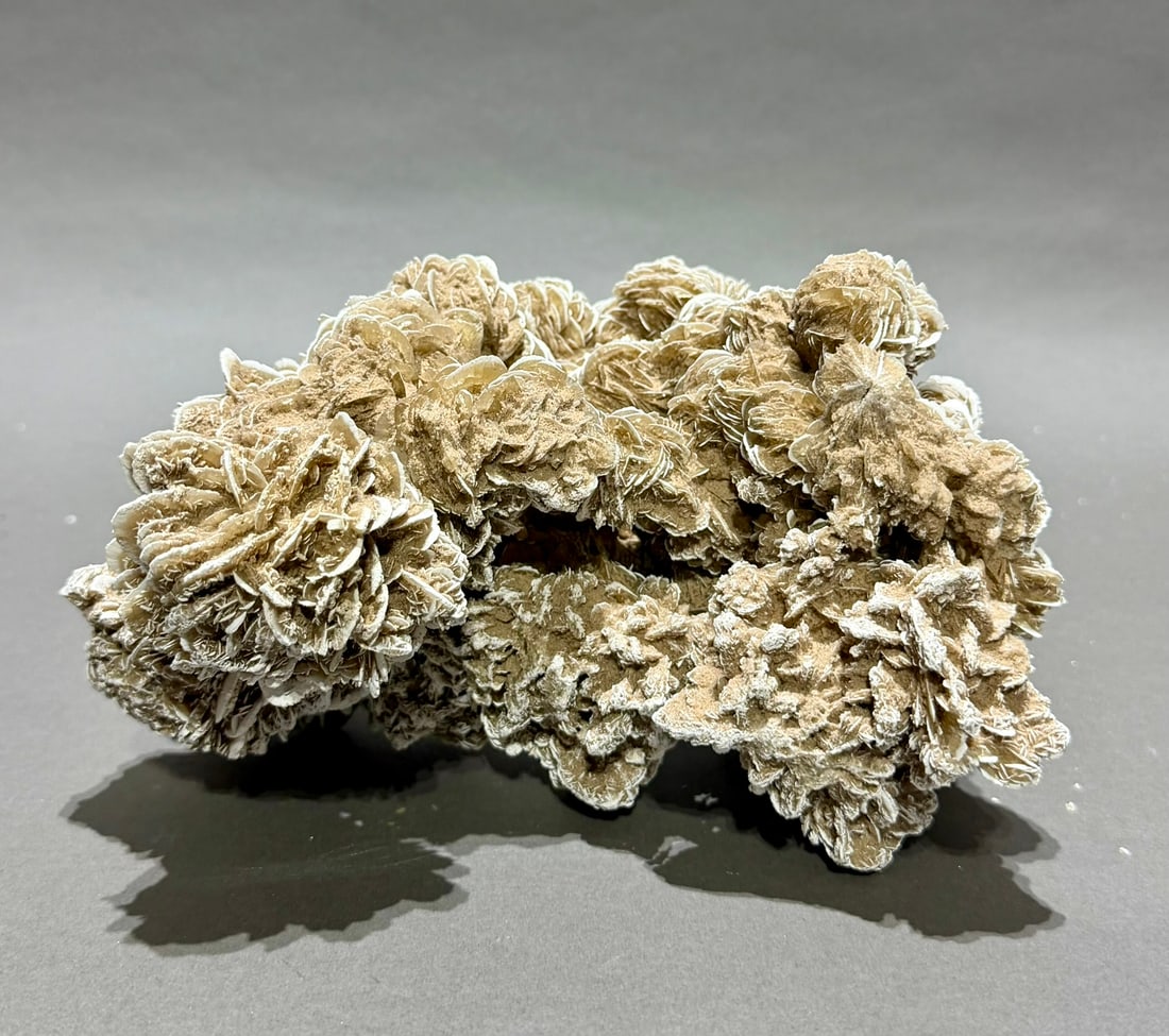 Desert Rose Selenite Formation - 4