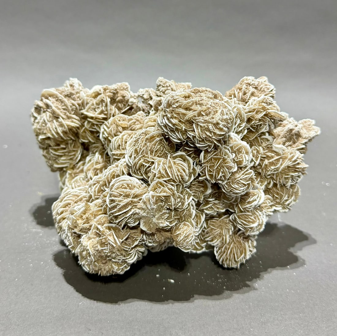 Desert Rose Selenite Formation - 5