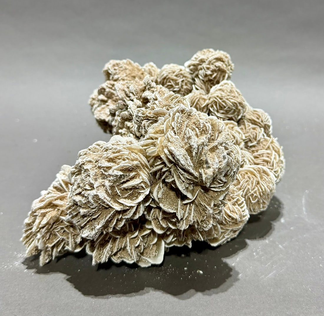 Desert Rose Selenite Formation - 6
