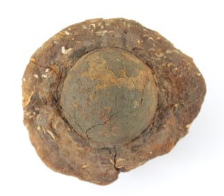 Civil War Era Cannonball Encrusted In Coral