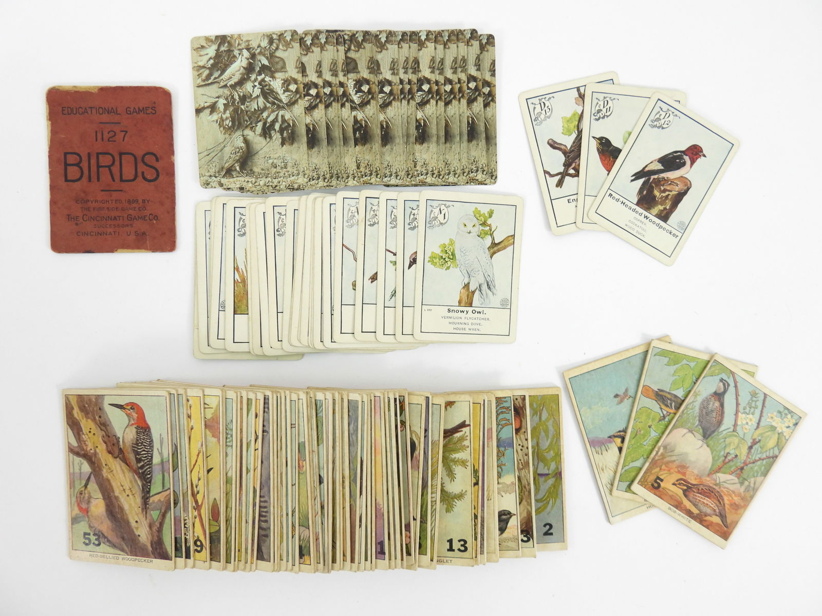 Fireside Games Co Birds & Other Avian Cards (1 of 11)