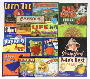 15PC Vintage Fruit Advertisements