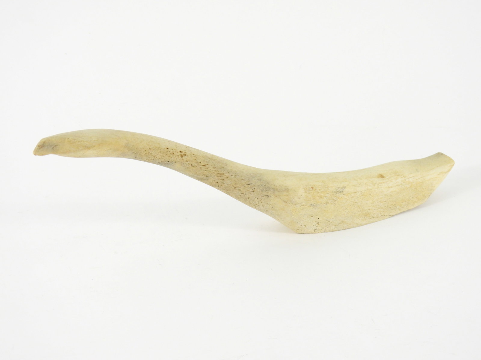 C1900 Carved Whale Bone Bird Sculpture: Circa 1900. Carved bone sculpture depicting a figural bird. From the collection of a Princeton, Massachusetts estate. Approx. 5 7/8" t x 15" w x 3 1/2" d