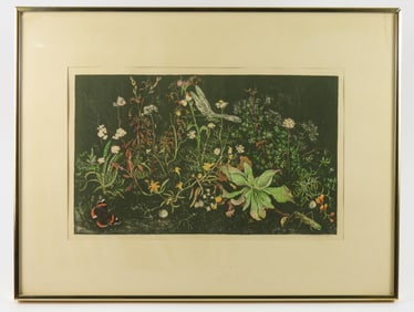 Wim Schuhmacher Botanical Lithograph