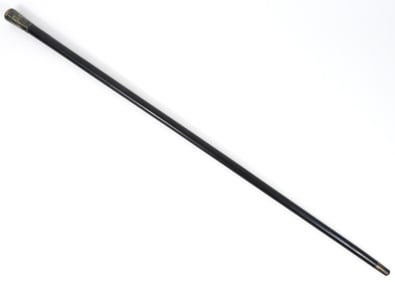 Sterling Silver Handled Cane