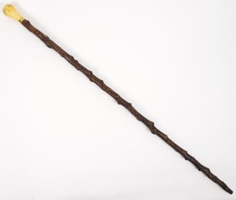 19C 14K Gold & Bone Briarwood Cane