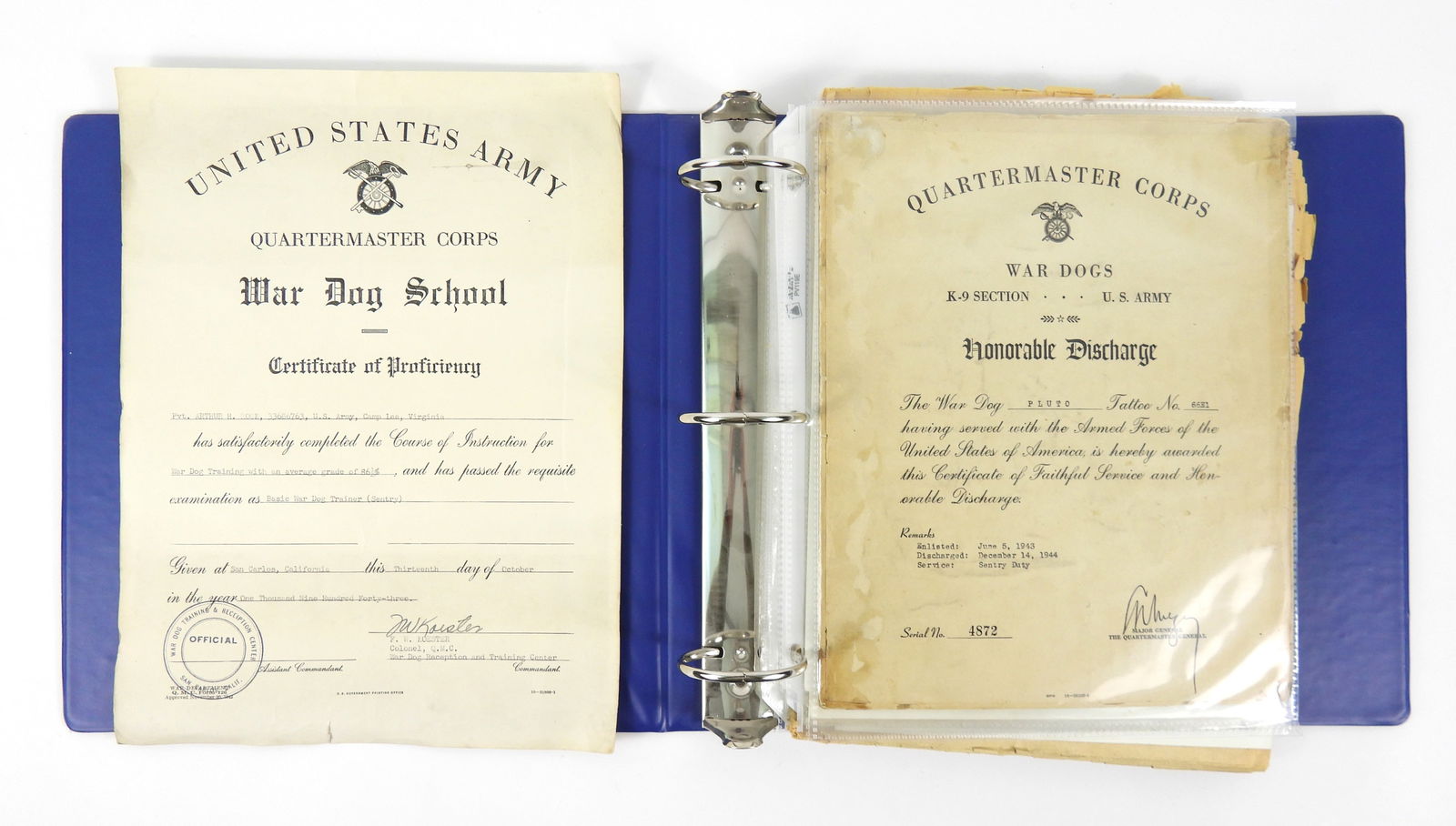 Group of War Dog Discharges and Ephemera: United States. A Quartermaster Corps War Dog School certificate; a Quartermaster Corps discharge for "Pluto" with a picture of him; a US Army photograph of a War Dog handler putting on the dogs bootee