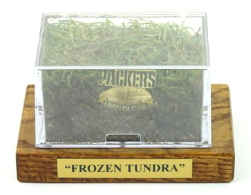 Green Bay Packers Frozen Tundra