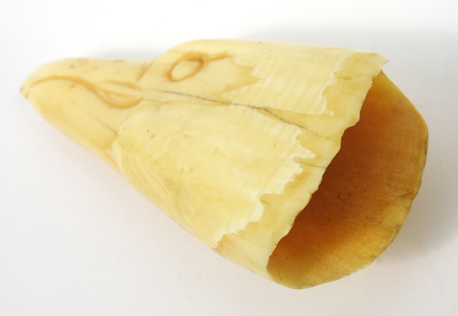 PR Carved Eagle Whale Teeth - 4