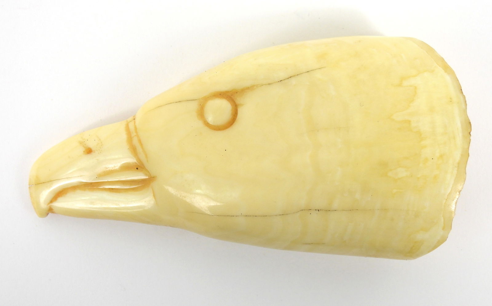 PR Carved Eagle Whale Teeth - 5
