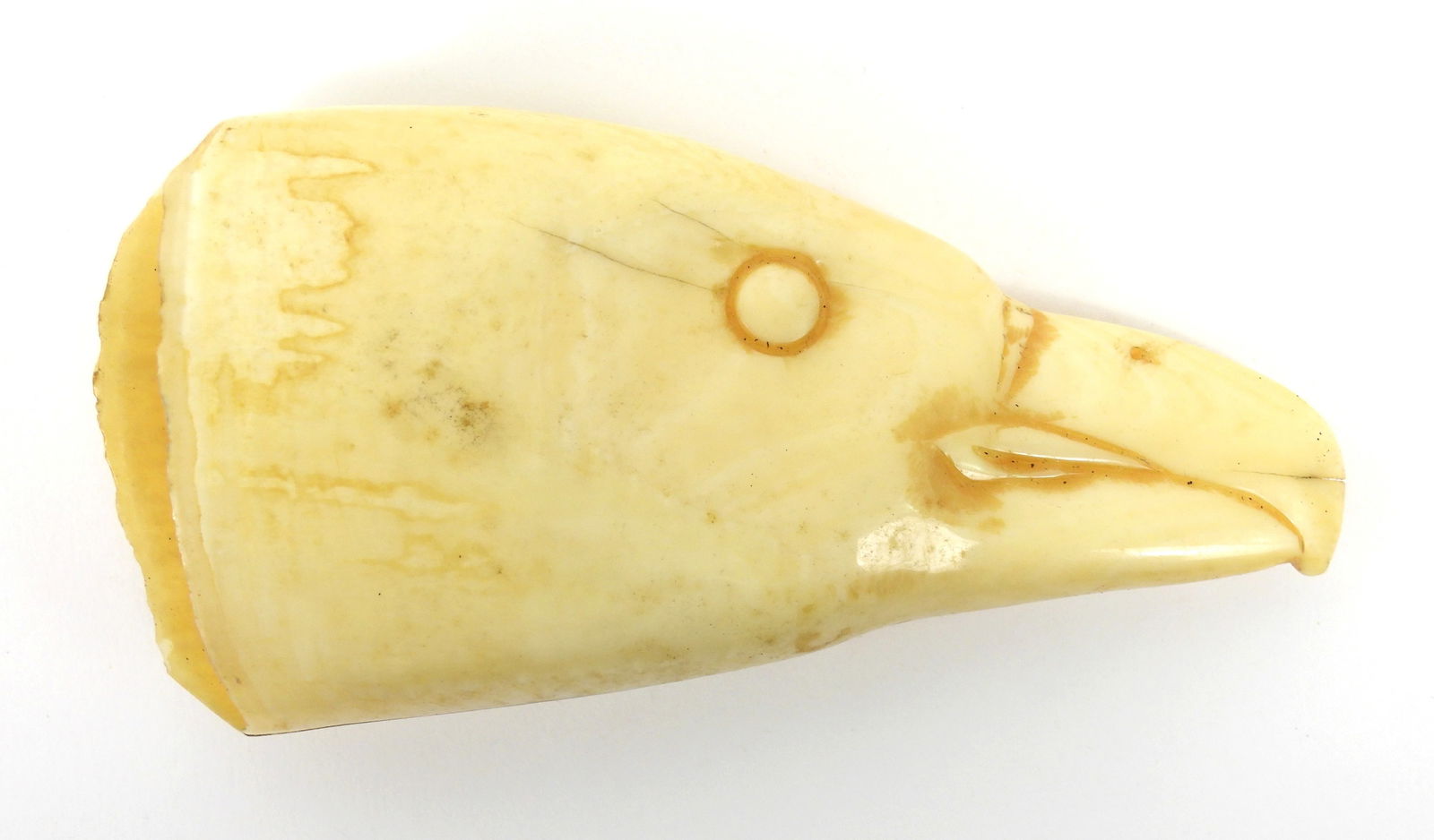 PR Carved Eagle Whale Teeth - 6