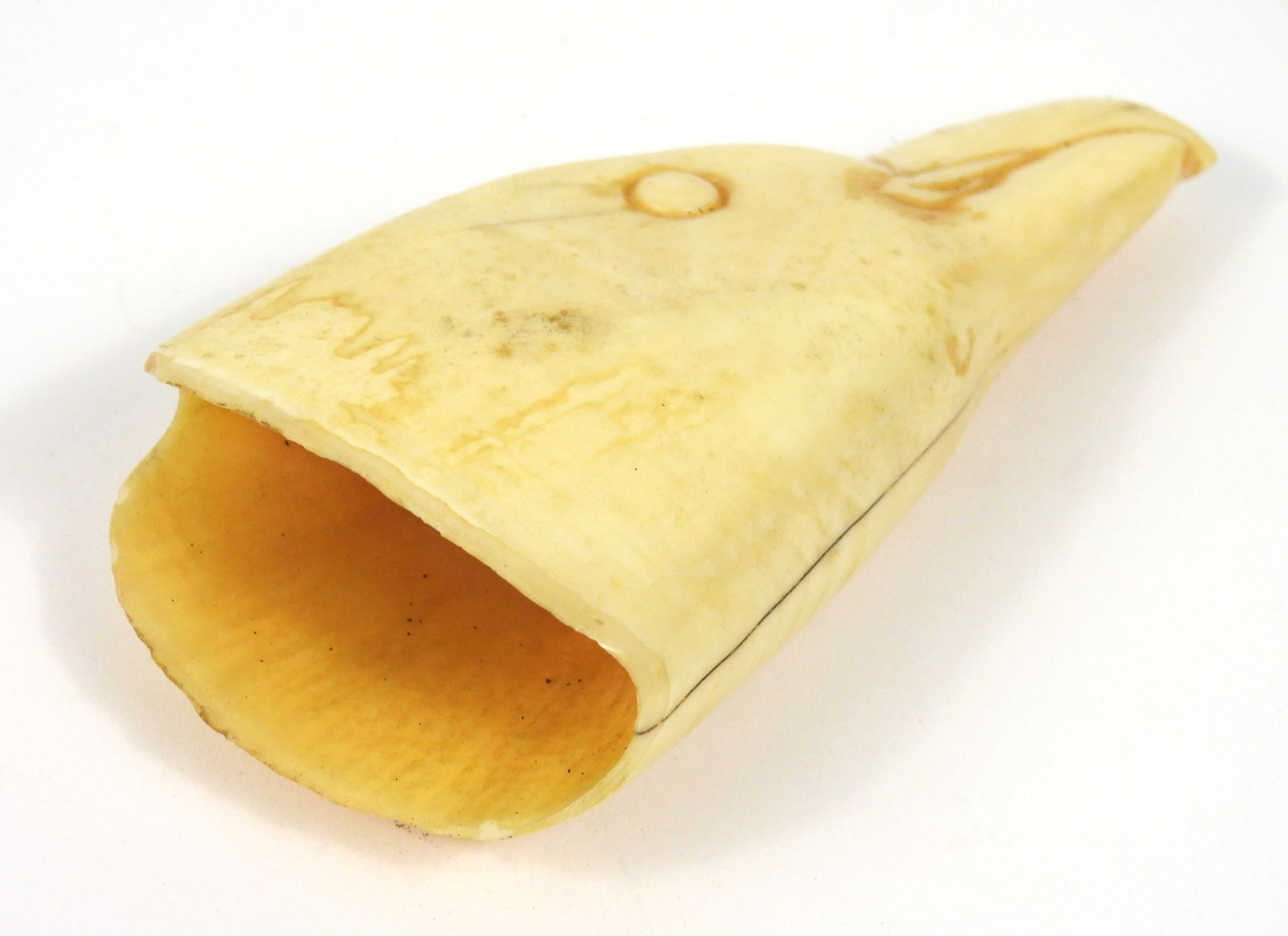 PR Carved Eagle Whale Teeth - 7