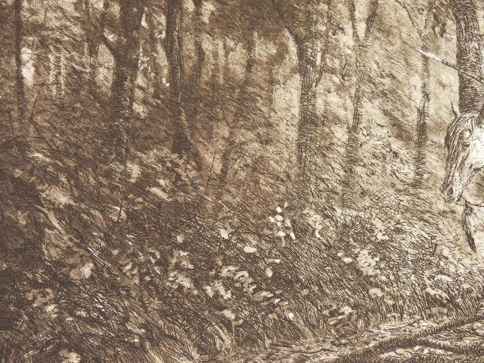 2PC John Duillo Native American Etchings - 10