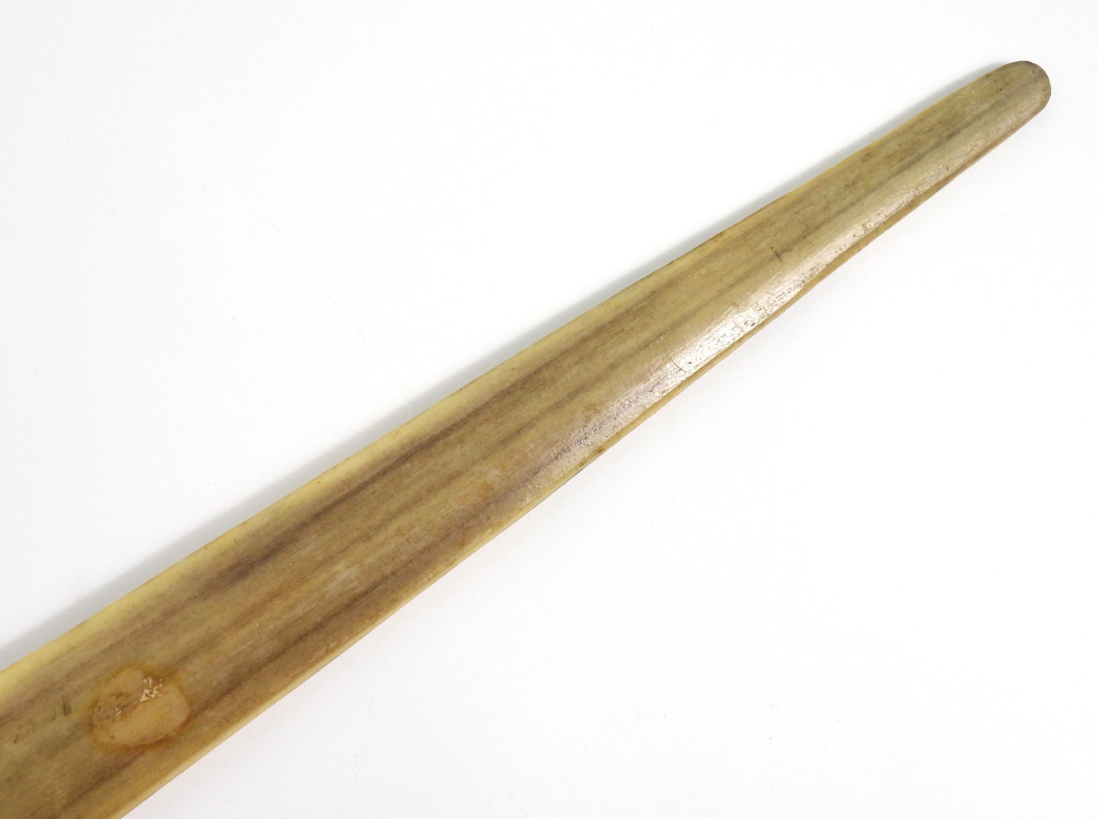 Swordfish Bill Sword - 4