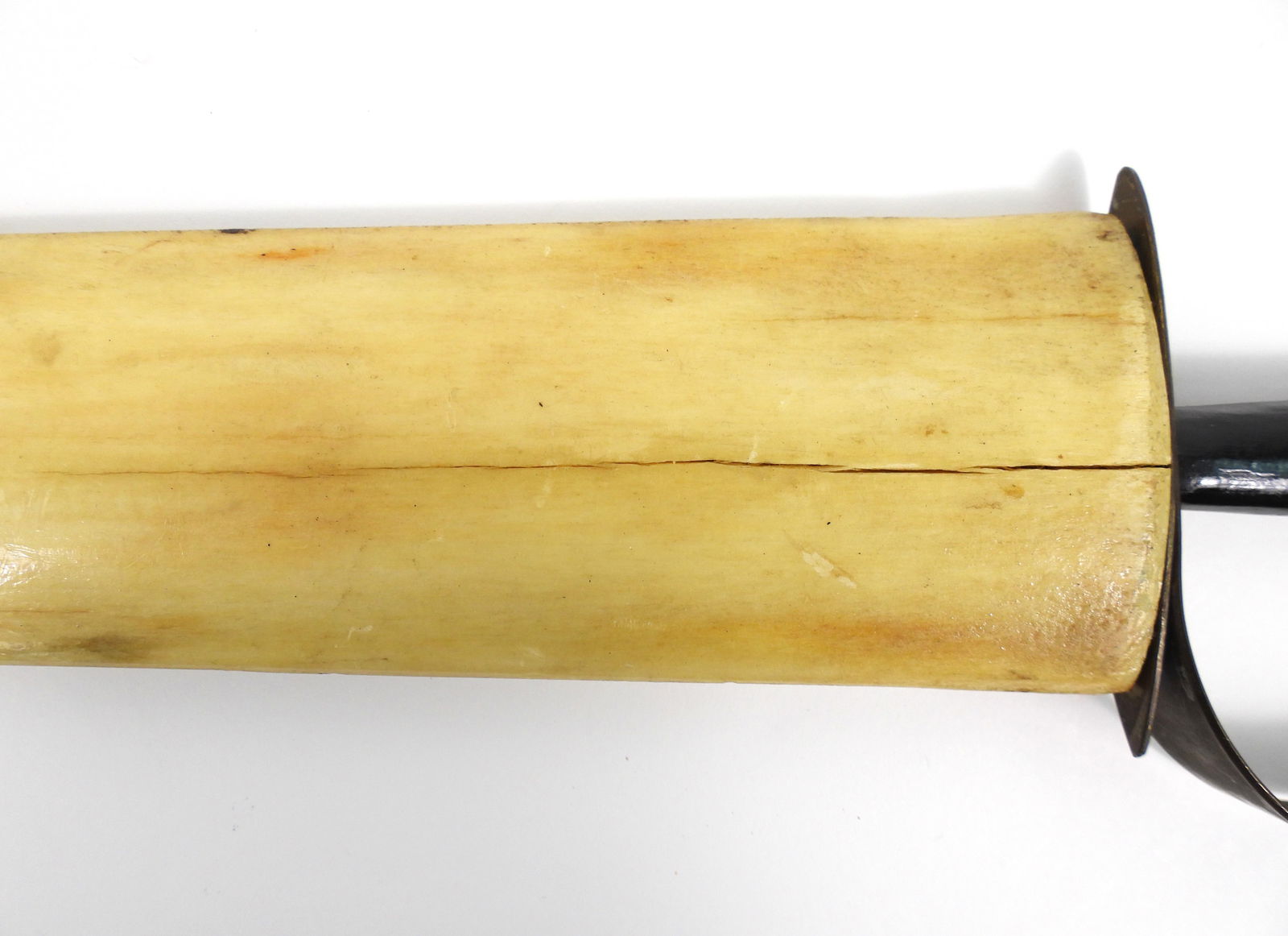 Swordfish Bill Sword - 6