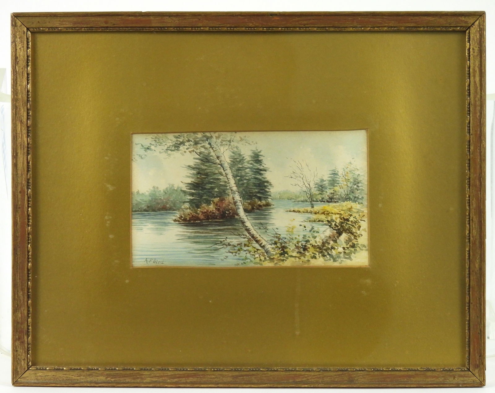 A.F. Bird Forest Pond WC Painting (1 of 5)